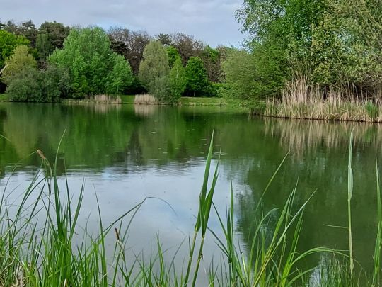 Angleridylle Haidemühl-2