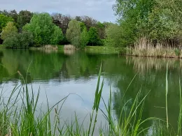 Angleridylle Haidemühl-2