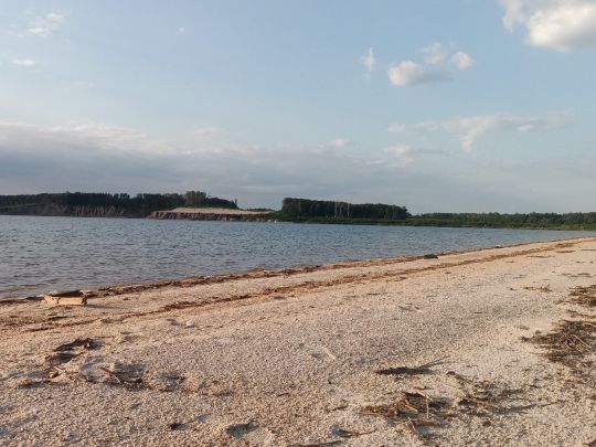 Knappensee (Groß Särchen)-1