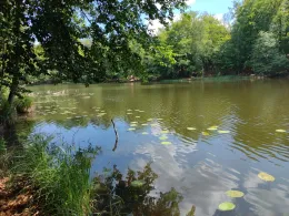 Regenbogensee (Wandlitz)-1