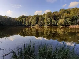 Regenbogensee (Wandlitz)-2