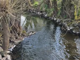 Haune (Petersberg)-1