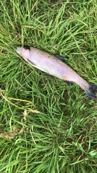 Heimertinger Baggersee