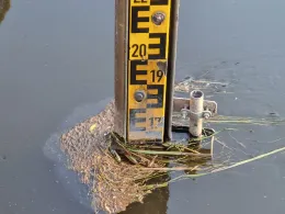 Rögnitz (Neuhaus/Elbe)-1