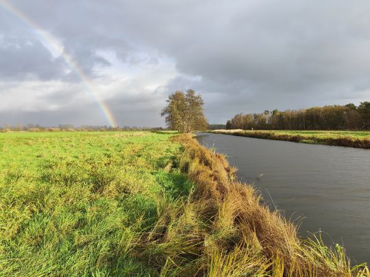 Rögnitz (Neuhaus/Elbe)