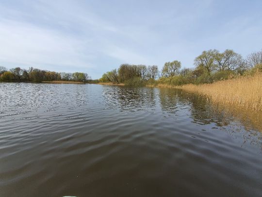 Dorfsee Kavelsdorf-1