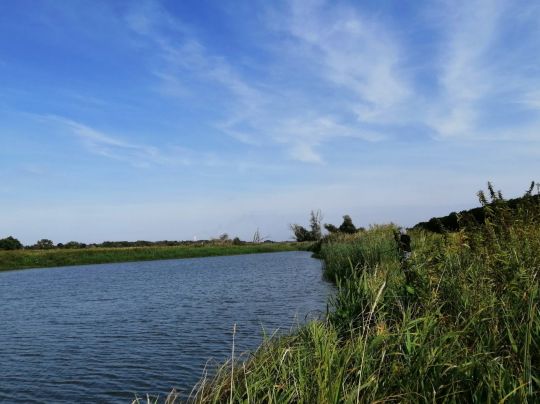 Königslanke (Arneburg)