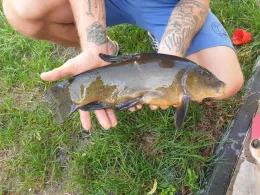 Großer Küstriner See-2