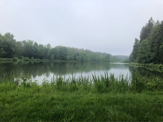 Sommerhut (Weißdorf)-1