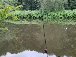 Zwickauer Mulde (Waldenburg)-3