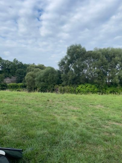 Zwickauer Mulde (Waldenburg)-4