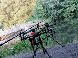 Zwickauer Mulde (Waldenburg)