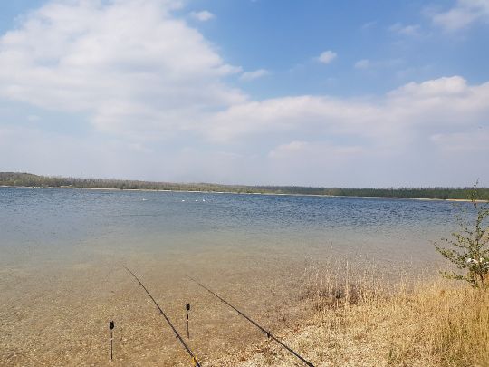 Haselbacher See angeln