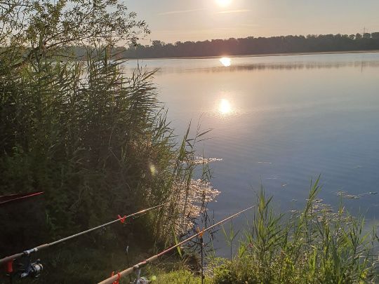 Knielinger See-3
