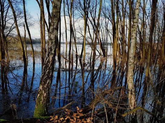 Knielinger See-4
