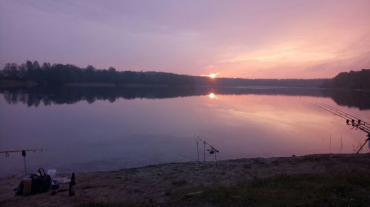 Großsee (Tauer)-4
