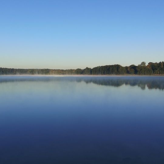 Großsee (Tauer)