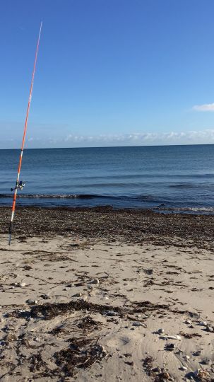 Ostsee (Behrensdorf)-3