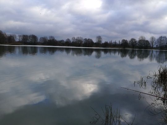 Wietzesee (Hastrasee) angeln