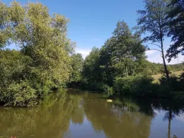 Vereinsgewässer ASV Menden 1962-1