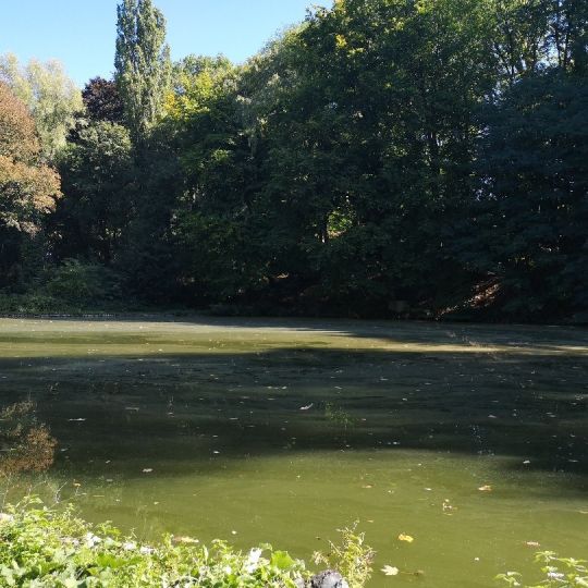 Rolduc-2