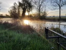 Vereinsweiher Altenheim