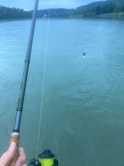 Rhein (Brennet-Öflingen)