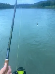 Rhein (Brennet-Öflingen)