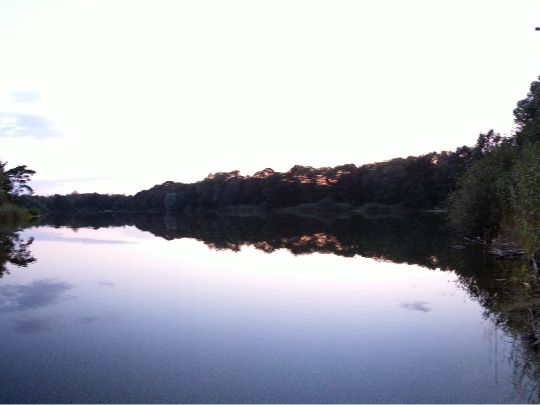 Surheider Baggerkuhle