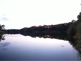 Surheider Baggerkuhle