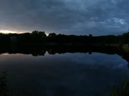 Surheider Baggerkuhle-2