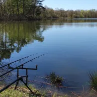 Surheider Baggerkuhle-4