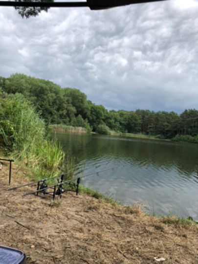 Surheider Baggerkuhle-1