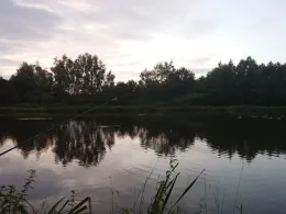 Teichanlage Dreikronen-1