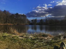 Teichanlage Dreikronen-2