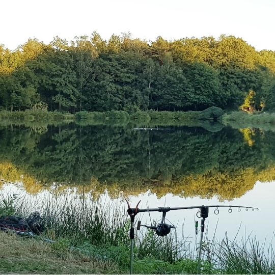 Teichanlage Dreikronen-3