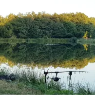 Teichanlage Dreikronen-3