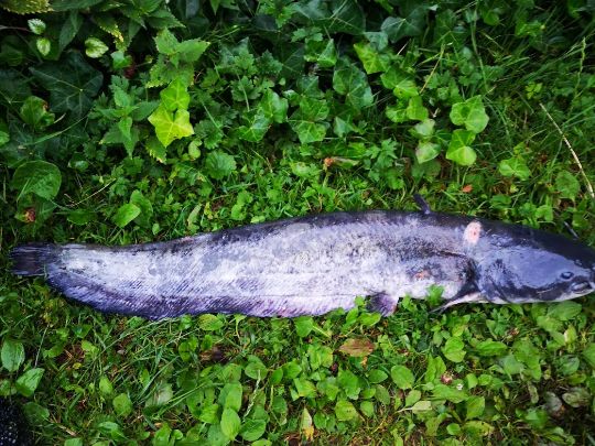 Angelparadies Steinbachtal-1