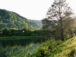 In den Steinen (Dillingen/Saar)-1