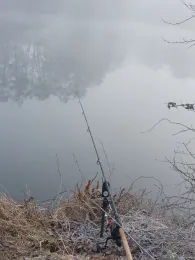 In den Steinen (Dillingen/Saar)