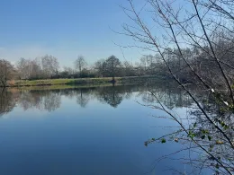 In den Steinen (Dillingen/Saar)-4