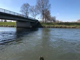 Donau (Gögglingen)-1