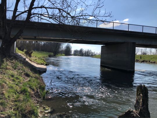 Donau (Gögglingen)