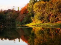 Tongrube Fortuna (Lonnig)