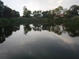 Ziegeleiteich Schafstädt