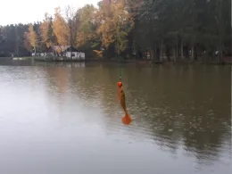 Eichensee (Langenzenn)