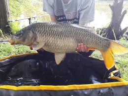 Kolmans See (Geldern)