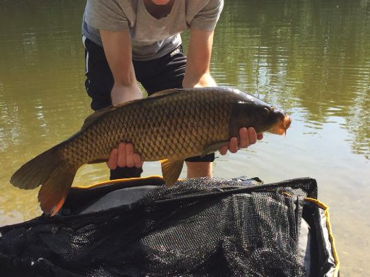 Kolmans See (Geldern)-2