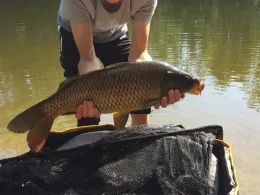 Kolmans See (Geldern)-1