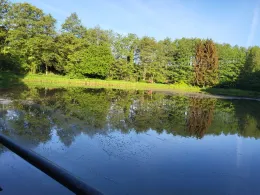 Dannenfelser Mühle-3